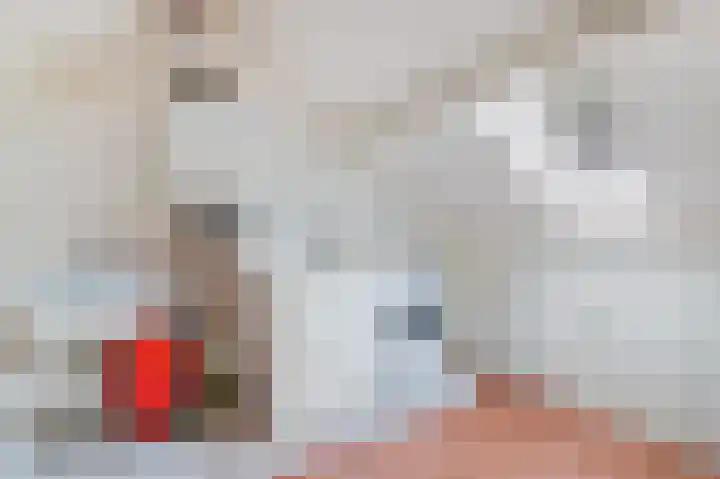 Gosewijnhof 2 Venray thumbnail 27