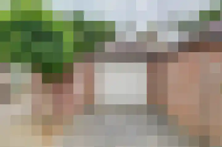 Gosewijnhof 2 Venray thumbnail 31