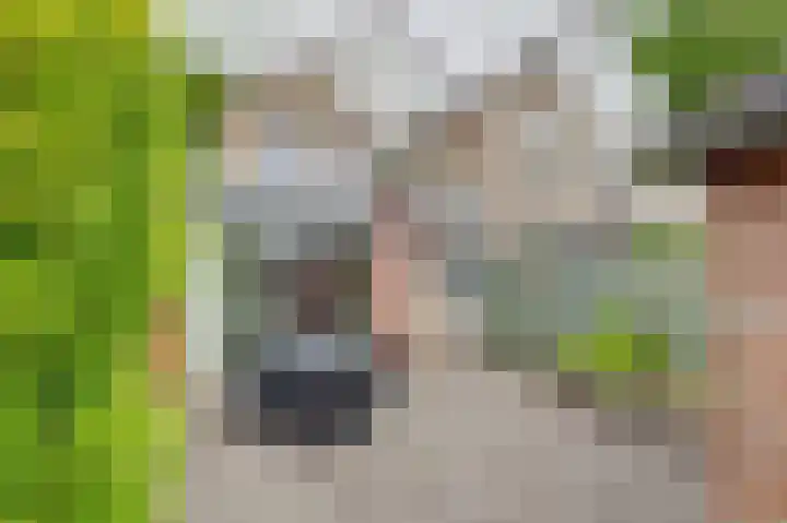 Gosewijnhof 2 Venray thumbnail 32