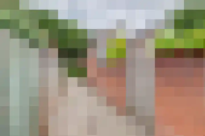Gosewijnhof 2 Venray thumbnail 34