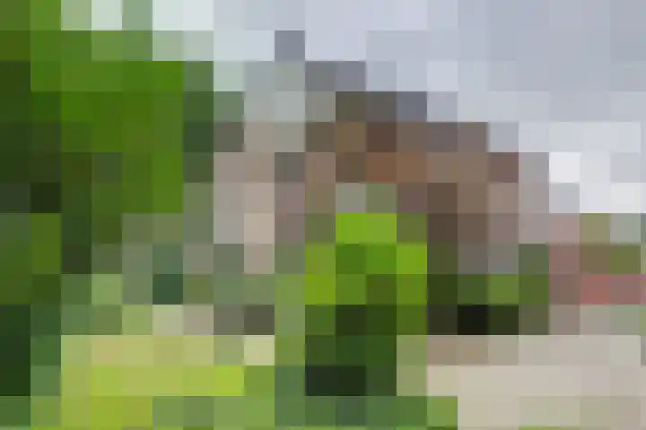Gosewijnhof 2 Venray thumbnail 38