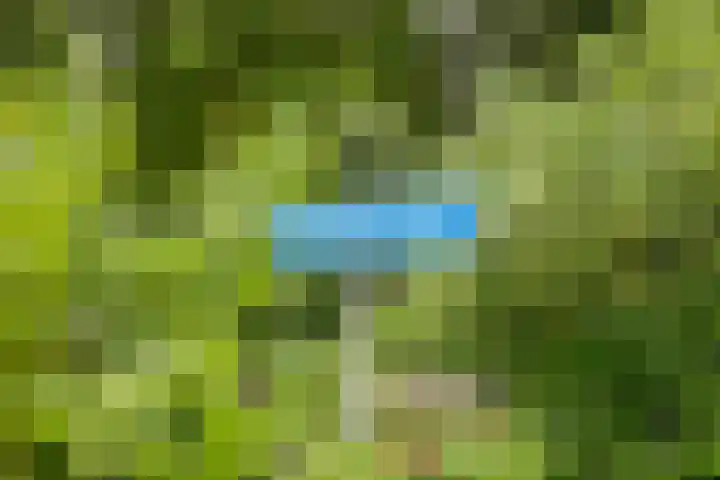 Gosewijnhof 2 Venray thumbnail 39
