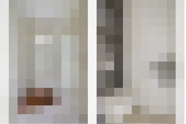 Gosewijnhof 2 Venray thumbnail 6