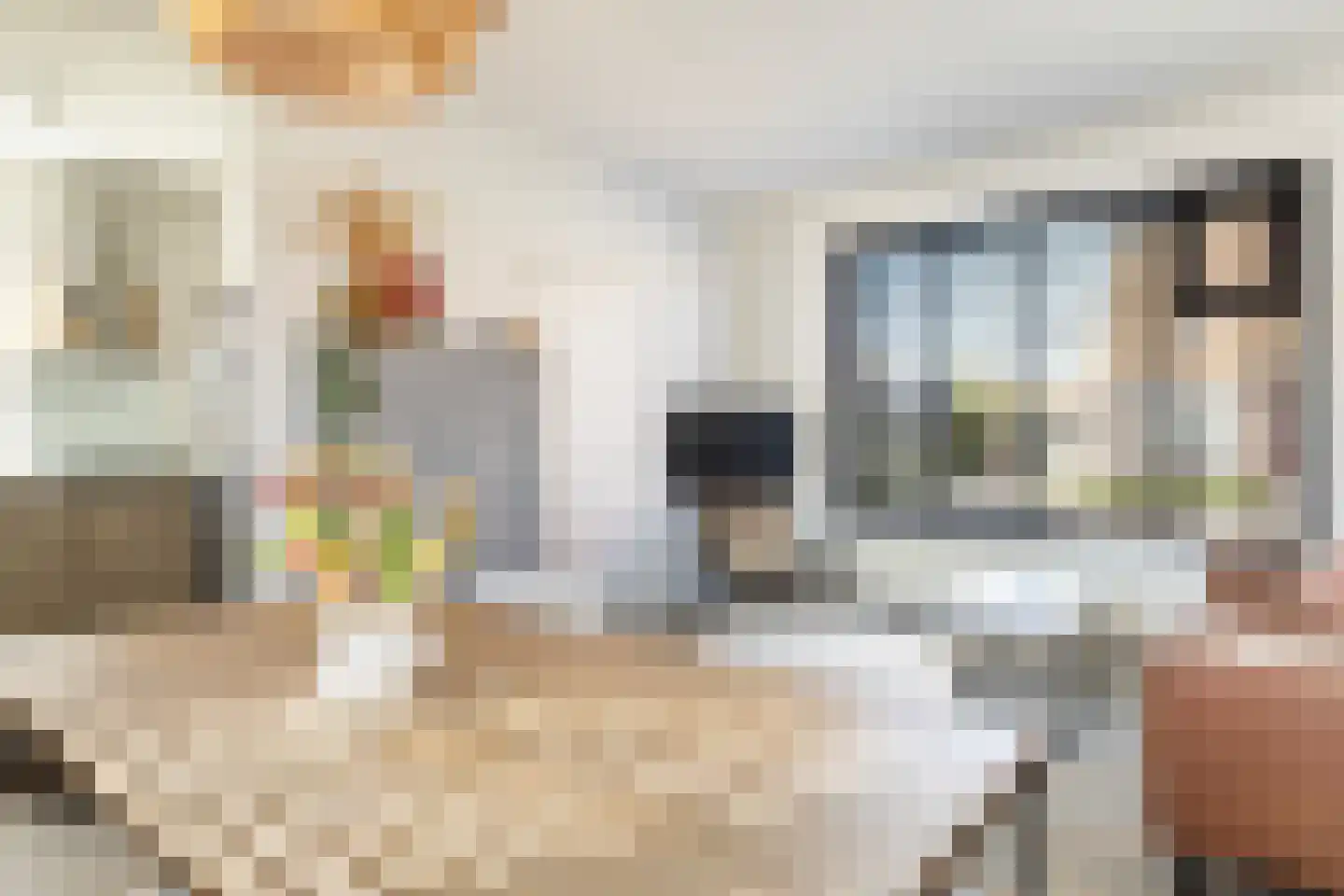 Gosling Posthumastraat 25 Dokkum thumbnail 10