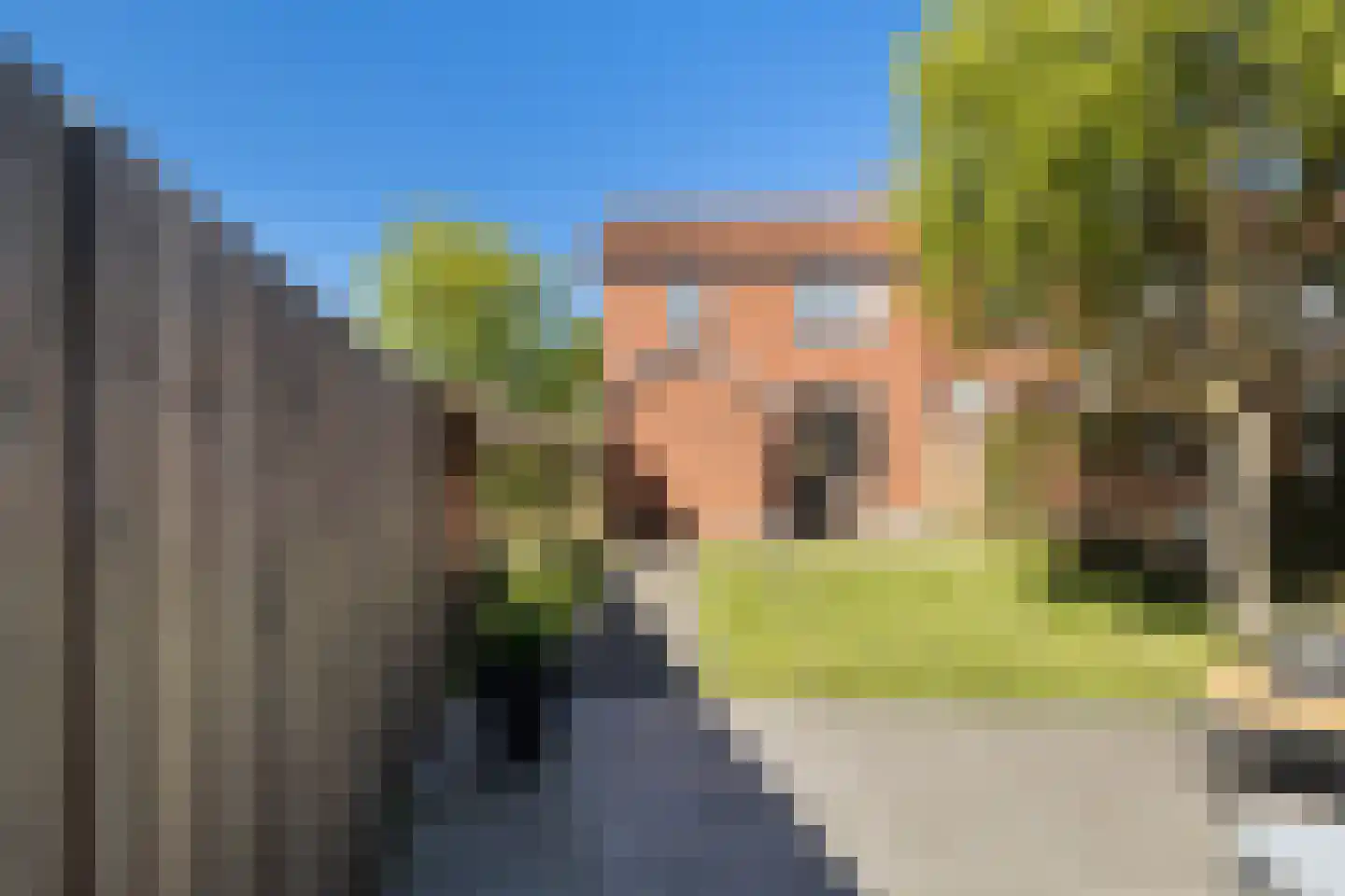 Gosling Posthumastraat 25 Dokkum thumbnail 20