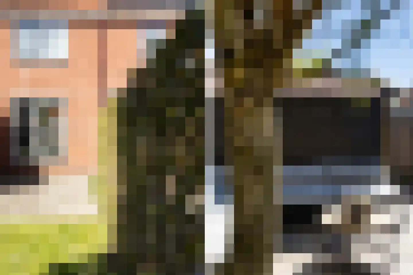 Gosling Posthumastraat 25 Dokkum thumbnail 21