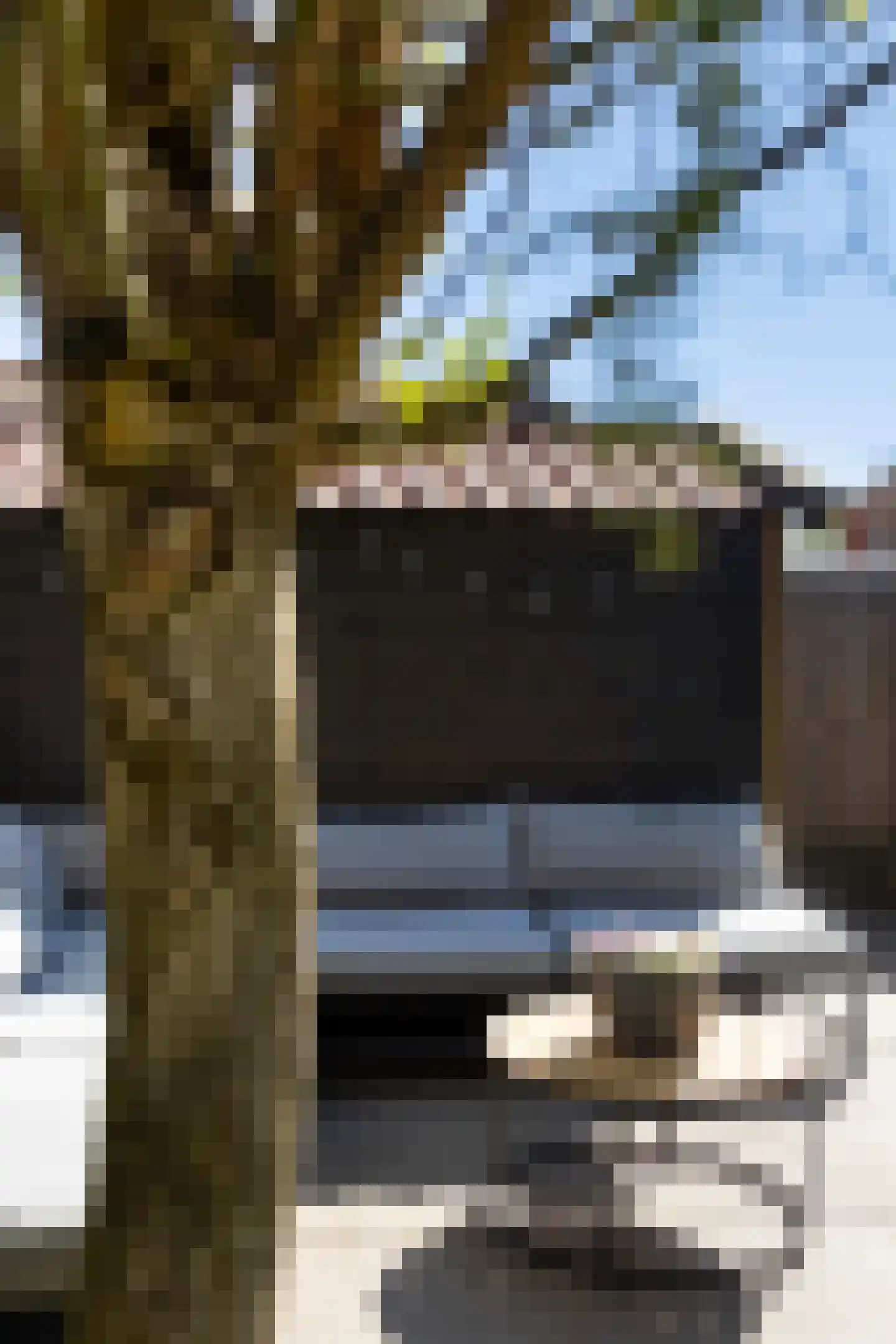 Gosling Posthumastraat 25 Dokkum thumbnail 22