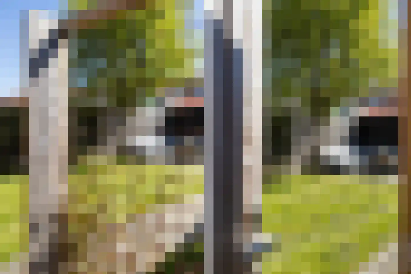 Gosling Posthumastraat 25 Dokkum thumbnail 24