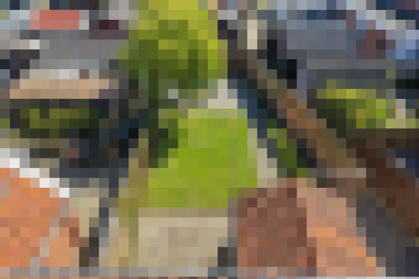 Gosling Posthumastraat 25 Dokkum thumbnail 35