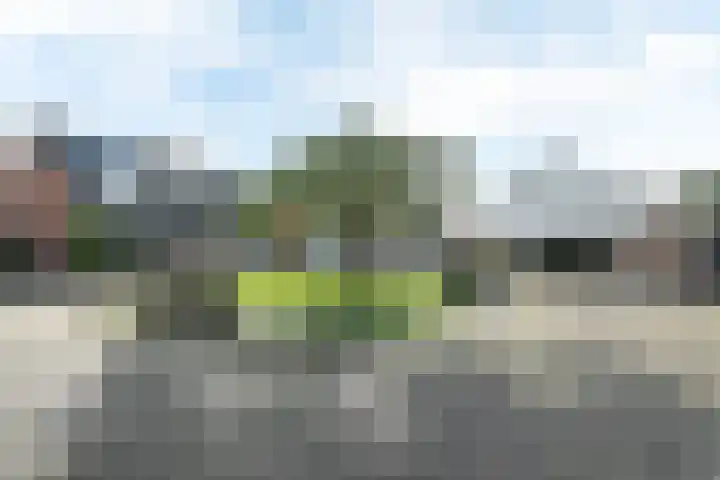 Goslingastate 7 Leeuwarden thumbnail 40