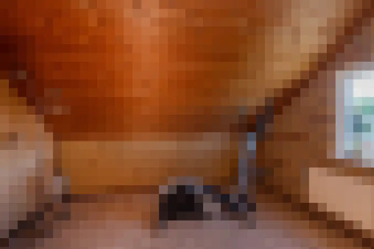 Gosselinkweg 44 Neede thumbnail 23
