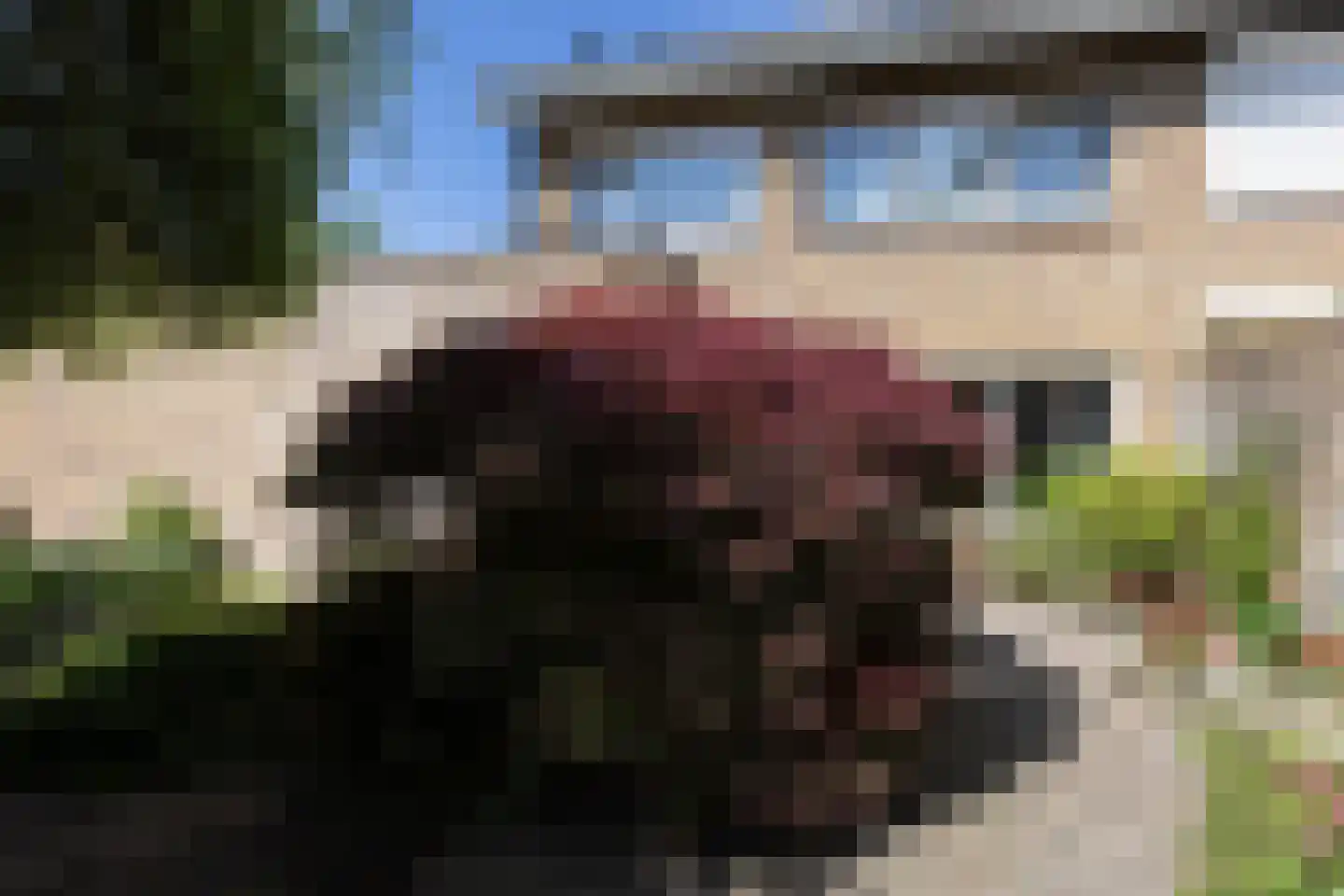Gosselinkweg 44 Neede thumbnail 25