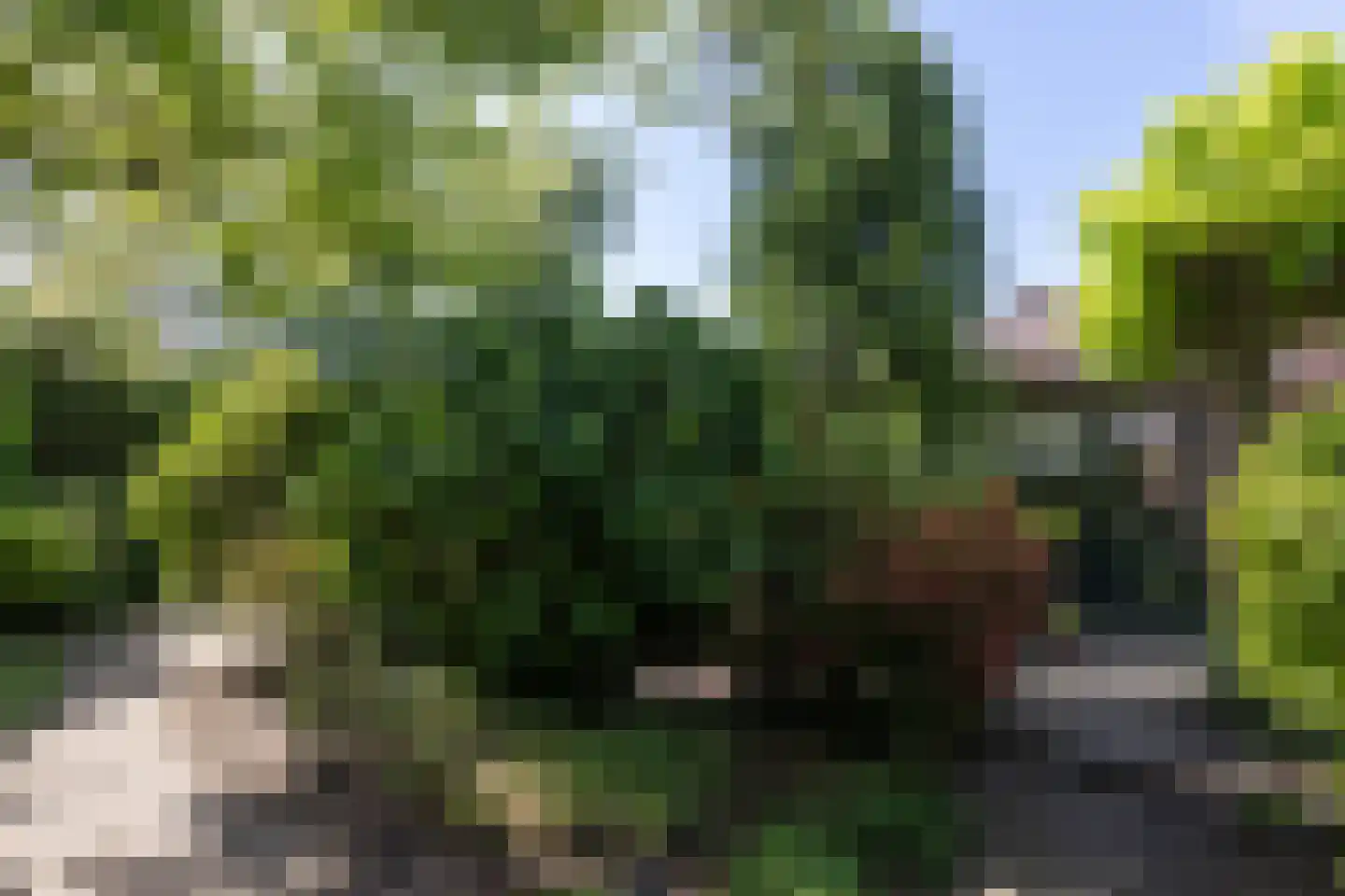 Gosselinkweg 44 Neede thumbnail 27