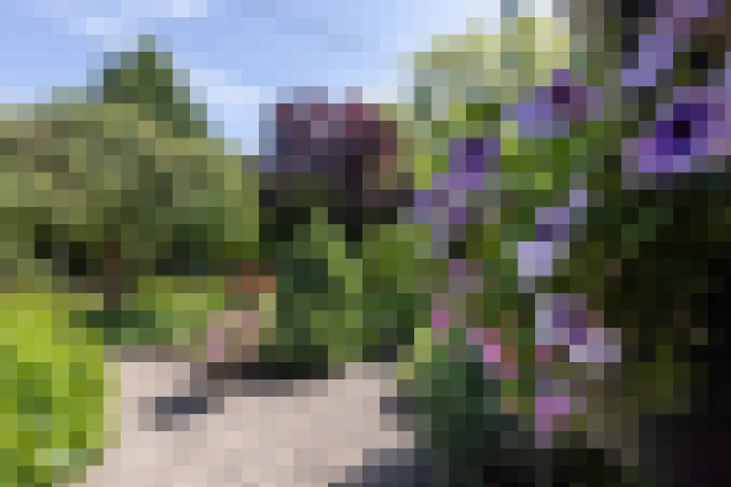 Gosselinkweg 44 Neede thumbnail 30