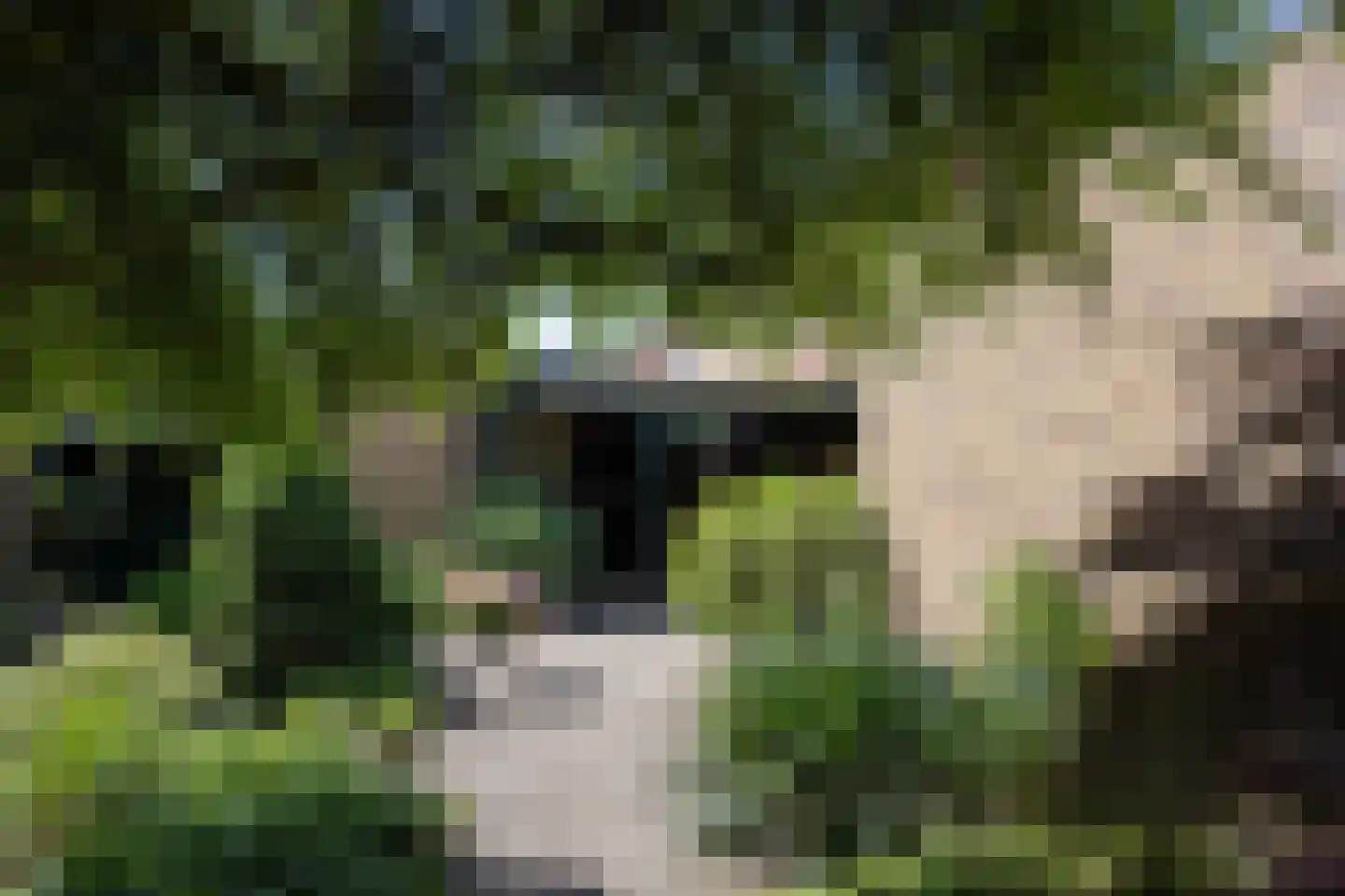 Gosselinkweg 44 Neede thumbnail 32