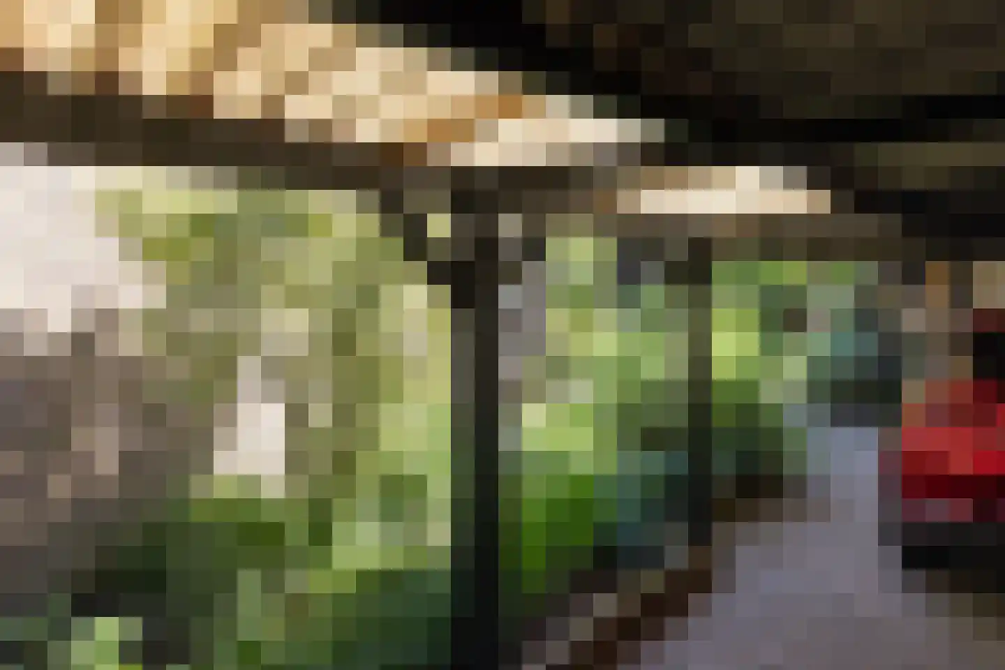Gosselinkweg 44 Neede thumbnail 33