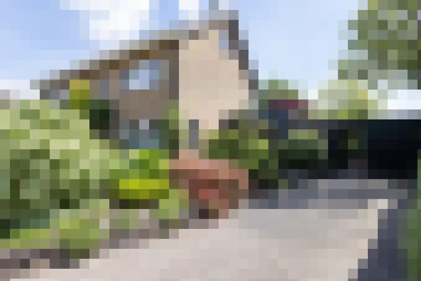 Gosselinkweg 44 Neede thumbnail 34