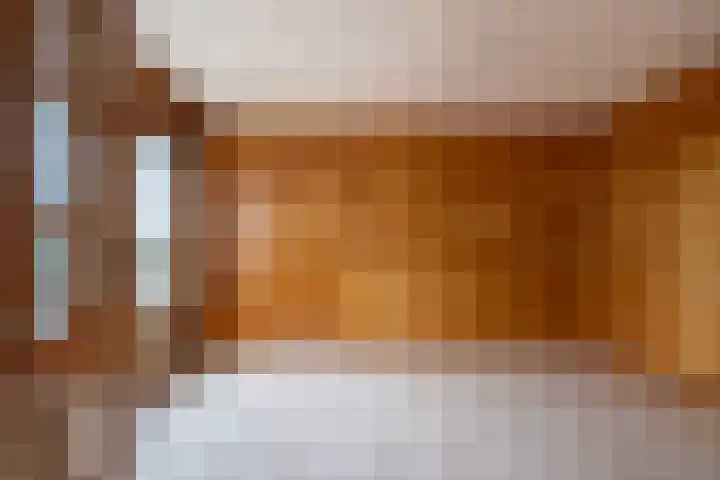 Gossepalen 1 Sneek thumbnail 11