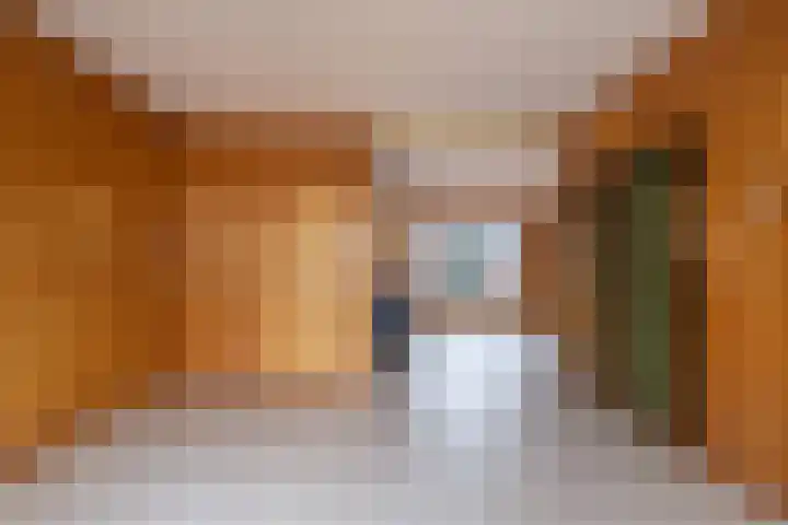 Gossepalen 1 Sneek thumbnail 12