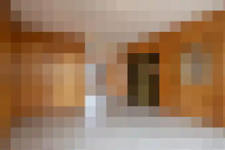 Gossepalen 1 Sneek thumbnail 13