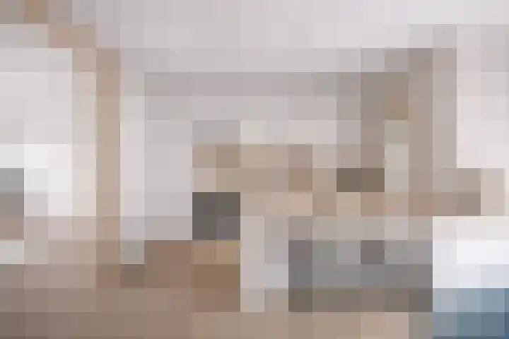 Gossepalen 1 Sneek thumbnail 19