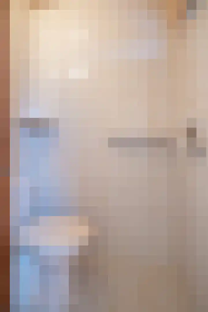 Gossepalen 1 Sneek thumbnail 22
