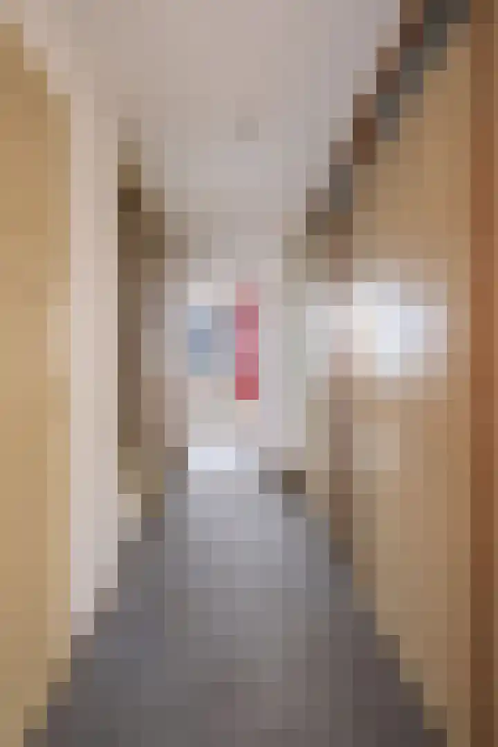 Gossepalen 1 Sneek thumbnail 24