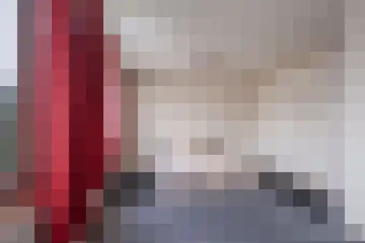 Gossepalen 1 Sneek thumbnail 25