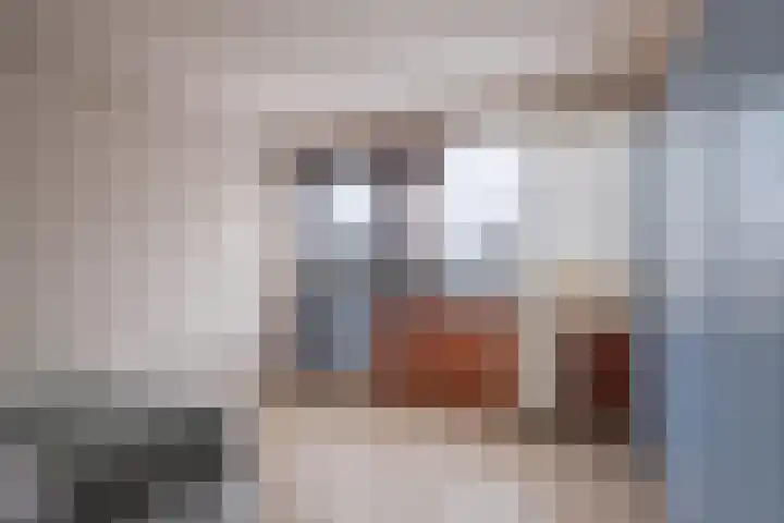 Gossepalen 1 Sneek thumbnail 30