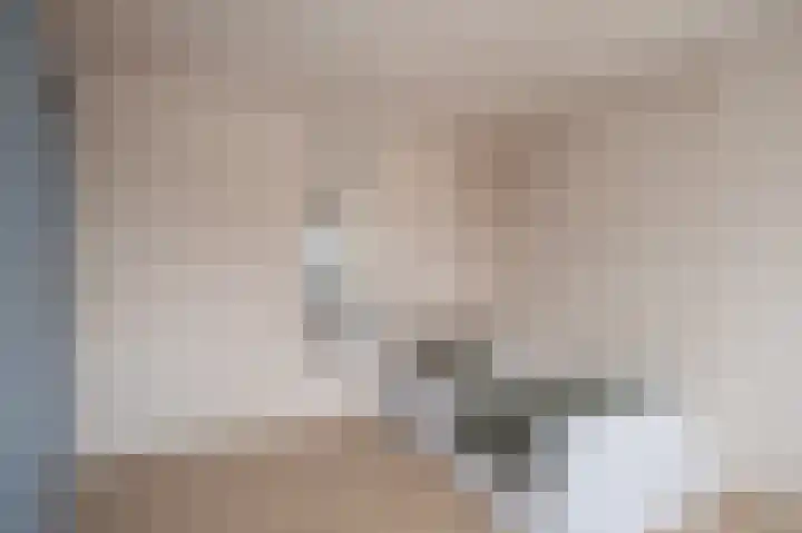 Gossepalen 1 Sneek thumbnail 31