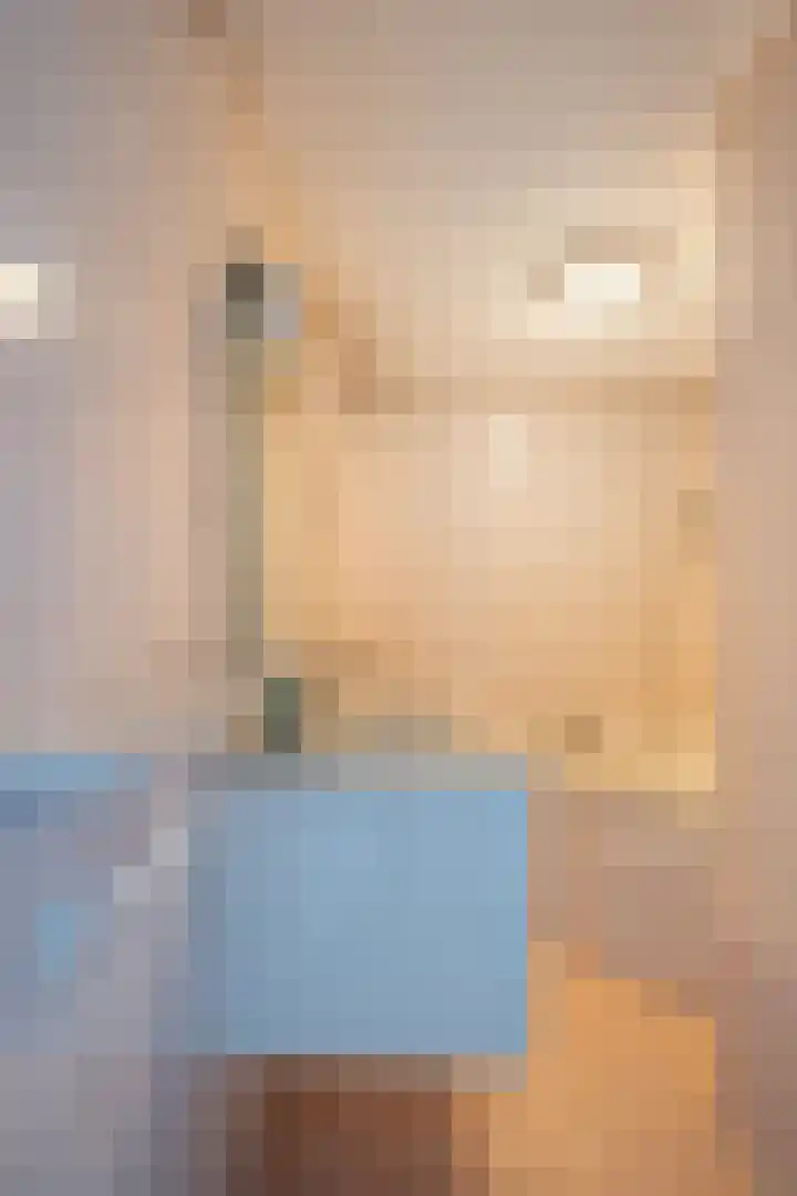 Gossepalen 1 Sneek thumbnail 33