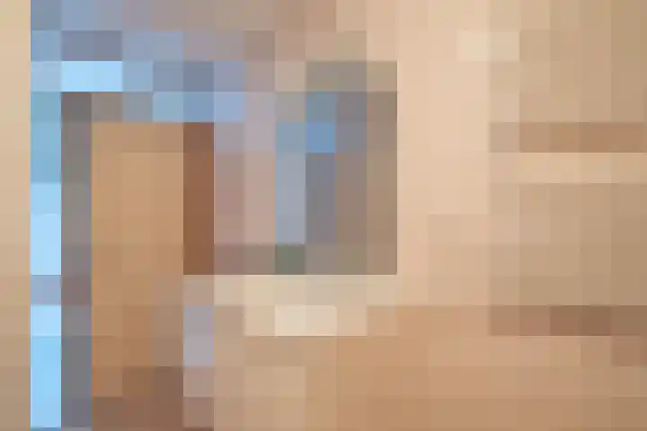 Gossepalen 1 Sneek thumbnail 35