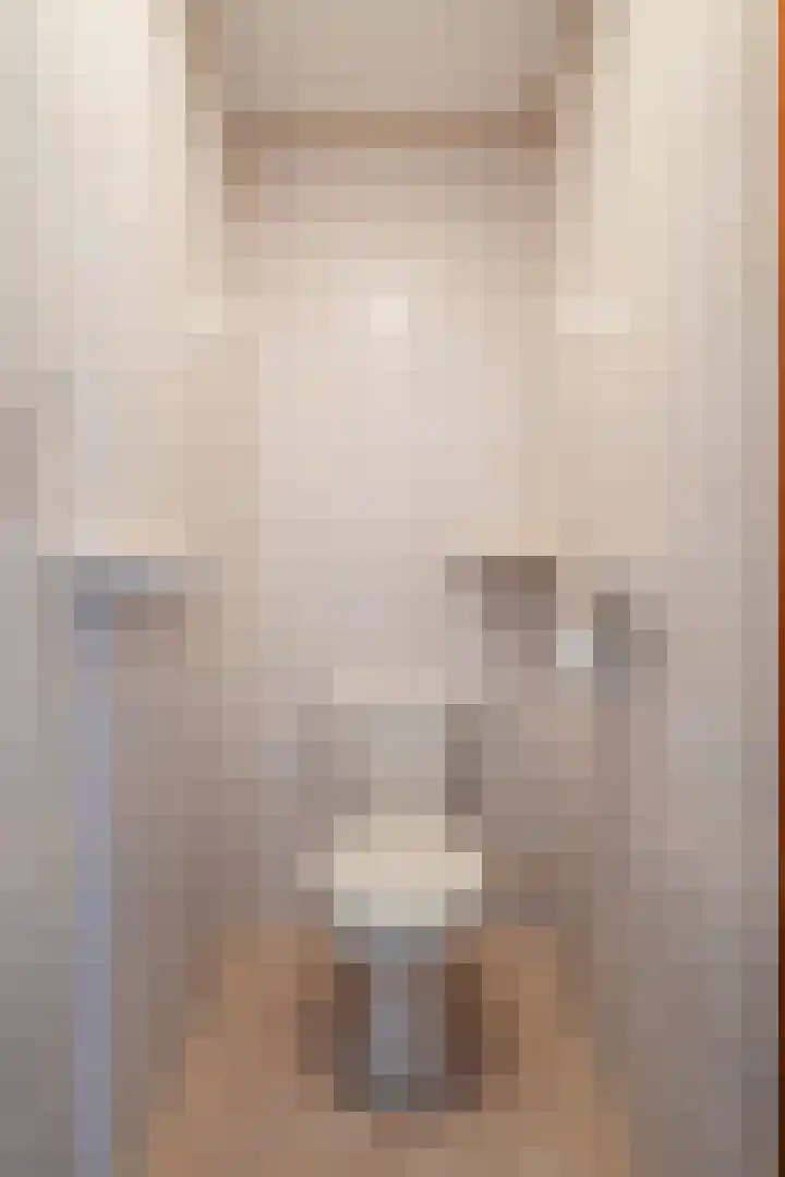 Gossepalen 1 Sneek thumbnail 36