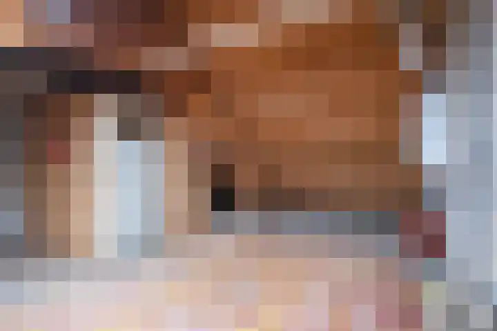Gossepalen 1 Sneek thumbnail 37