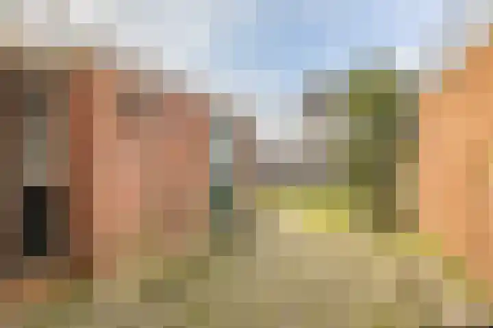 Gossepalen 1 Sneek thumbnail 39