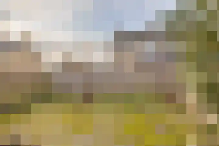 Gossepalen 1 Sneek thumbnail 40