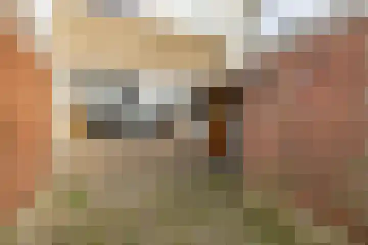 Gossepalen 1 Sneek thumbnail 42