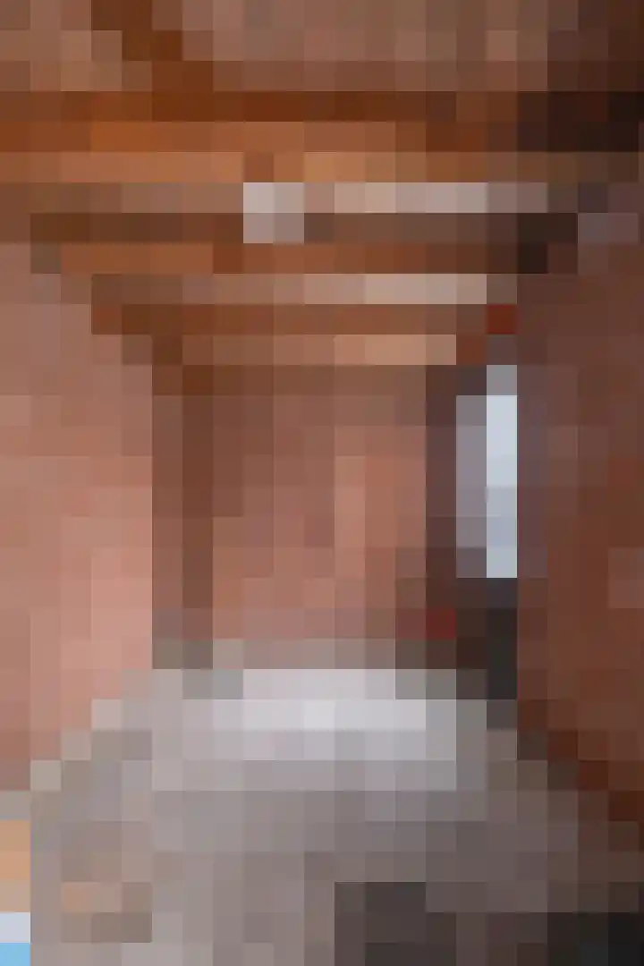 Gossepalen 1 Sneek thumbnail 43
