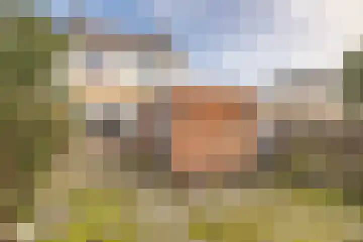 Gossepalen 1 Sneek thumbnail 5