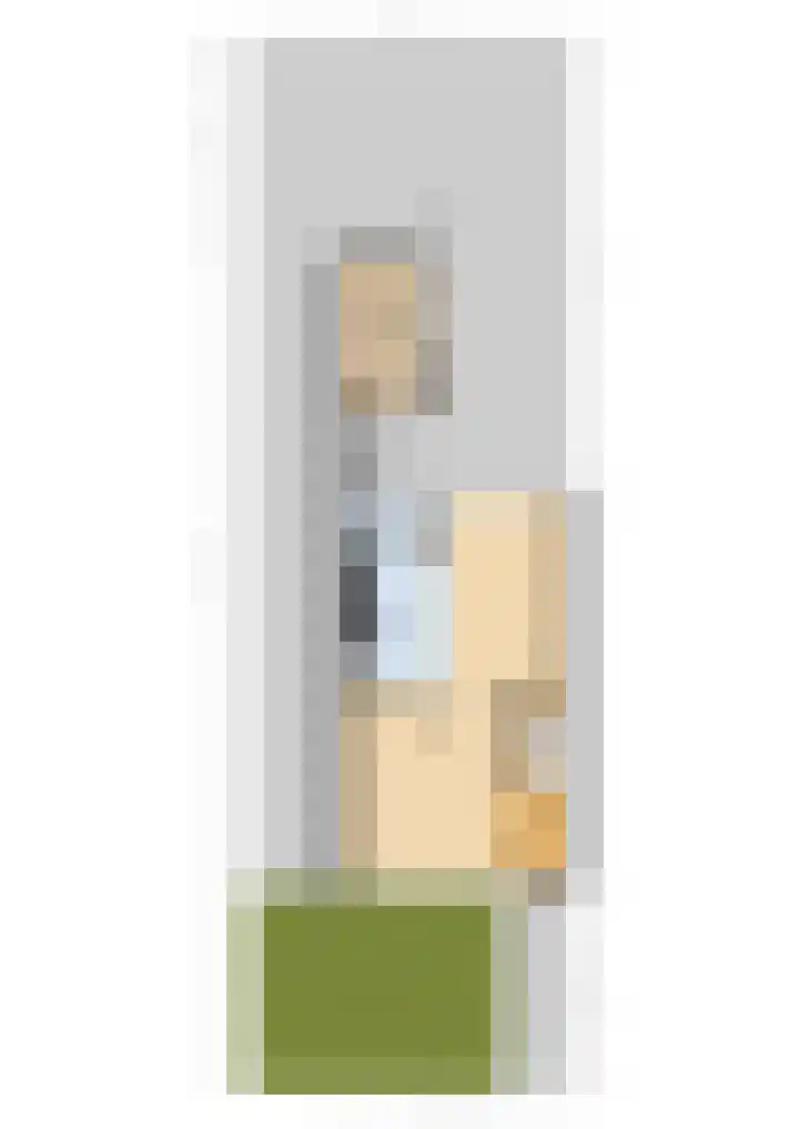 Gossepalen 1 Sneek thumbnail 50