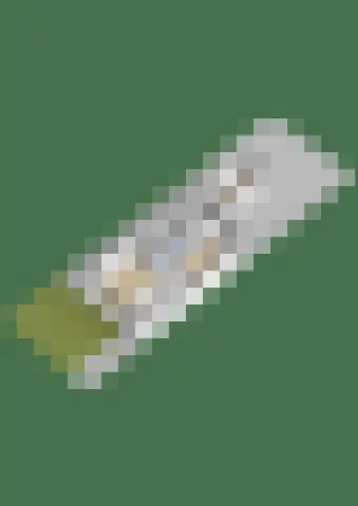 Gossepalen 1 Sneek thumbnail 51
