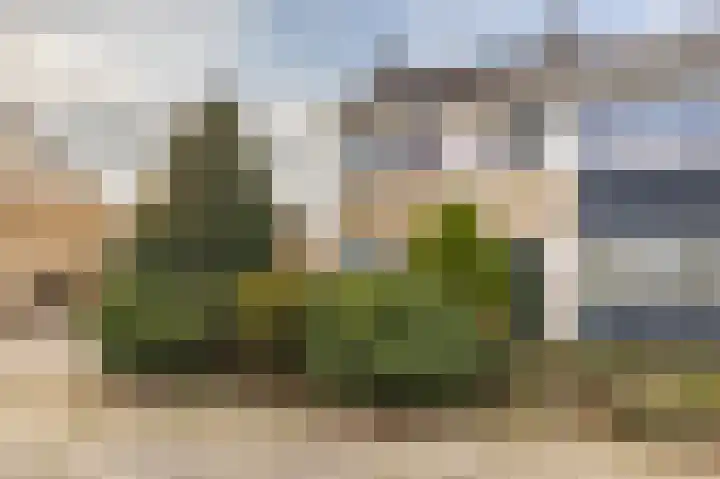 Gossepalen 1 Sneek thumbnail 6