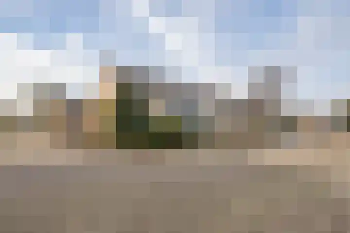 Gossepalen 1 Sneek thumbnail 7