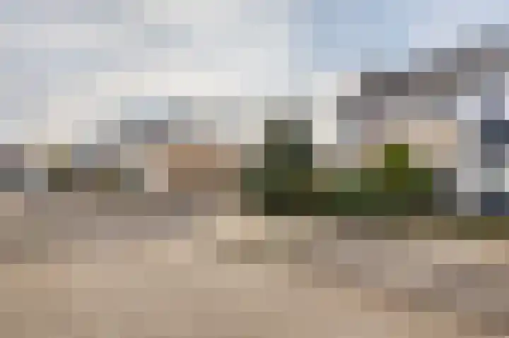 Gossepalen 1 Sneek thumbnail 8