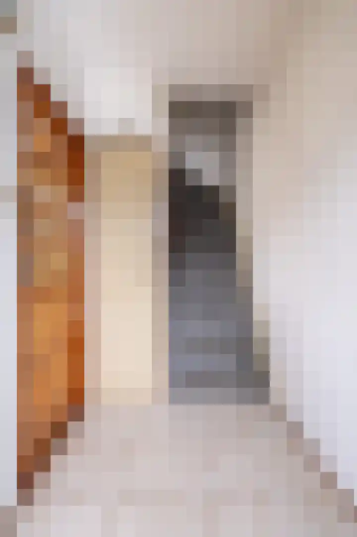 Gossepalen 1 Sneek thumbnail 9