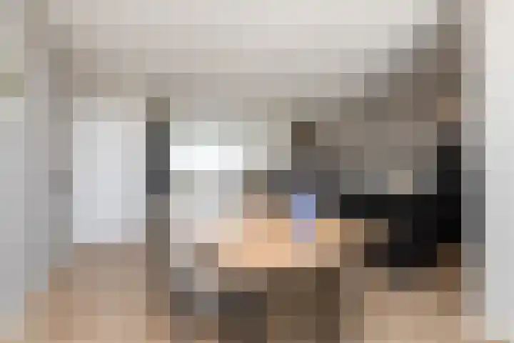 Gossepalen 143 Sneek thumbnail 10