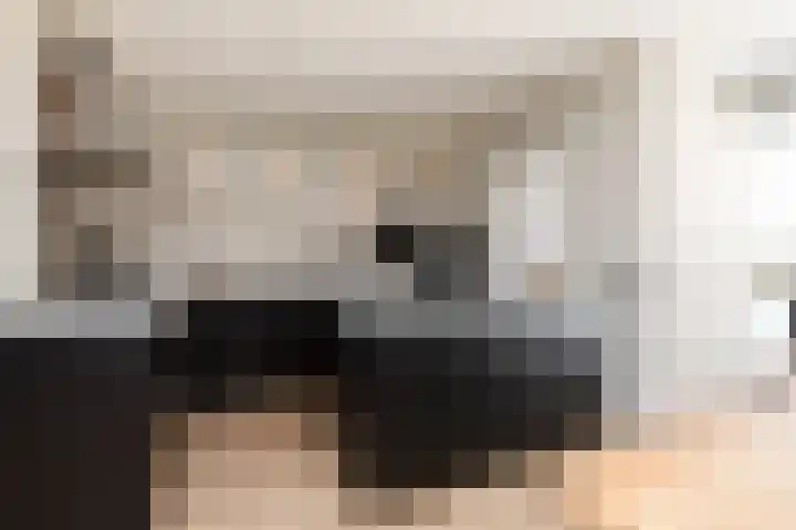 Gossepalen 143 Sneek thumbnail 11