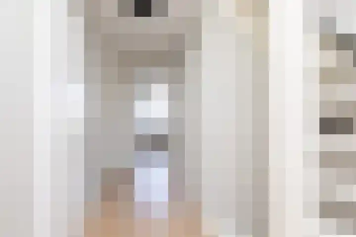 Gossepalen 143 Sneek thumbnail 18