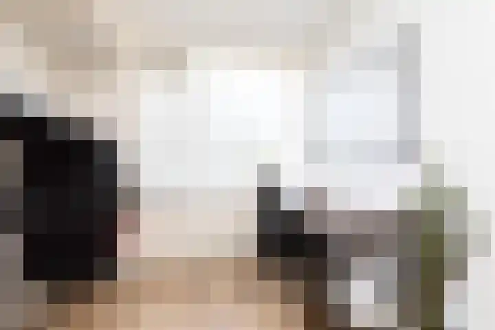 Gossepalen 143 Sneek thumbnail 19