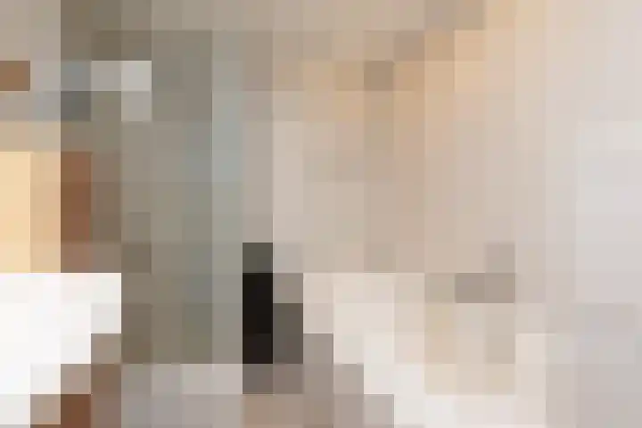 Gossepalen 143 Sneek thumbnail 22